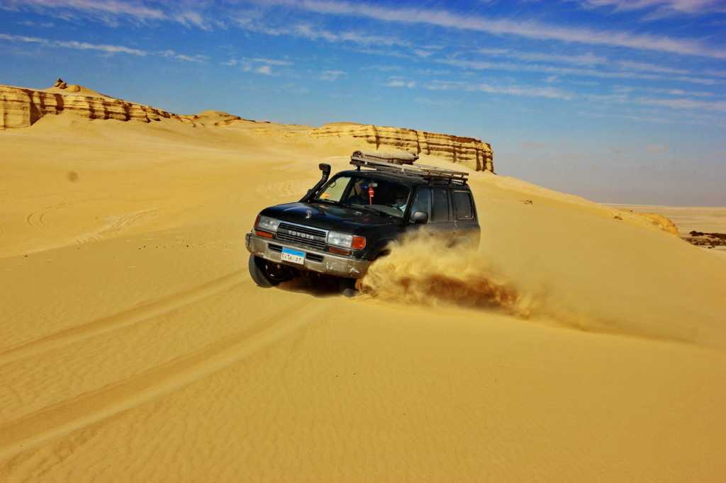 3 days desert safari – Cairo – North Qarun Lake – Rayan valley – Whales valley – Tunis village and more